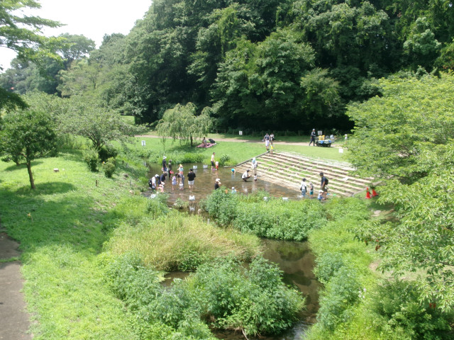 神奈川県立相模原公園 せせらぎの園地区 じゃぶじゃぶゾーン